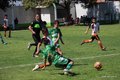 IMG_7658