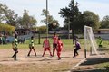 IMG_4295