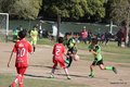 IMG_4340