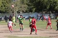 IMG_4318