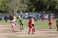 IMG_4317