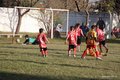 IMG_5913