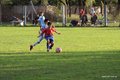 IMG_5942