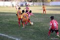 IMG_5907