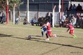IMG_7100