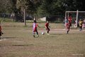 IMG_7009