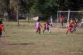 IMG_7010