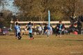 IMG_8223