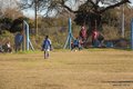 IMG_8204