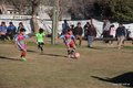 IMG_8321