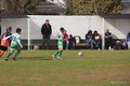 IMG_8803