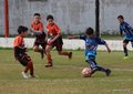 IMG_8909