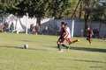IMG_2530