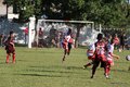 IMG_2519