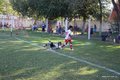 IMG_3787