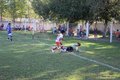 IMG_3784