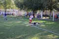 IMG_3785