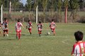 IMG_3737