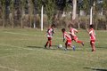 IMG_3774