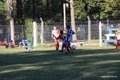IMG_4122