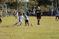 IMG_4005