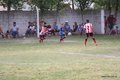 IMG_7771