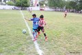 IMG_7803