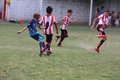 IMG_7825