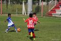 IMG_8254
