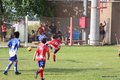 IMG_8232