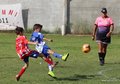 IMG_8253