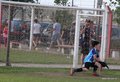 IMG_8313