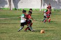 IMG_8920
