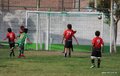 IMG_8889