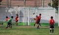 IMG_8887