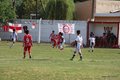 IMG_9019