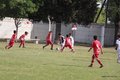 IMG_8955