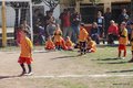 IMG_3161