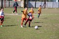 IMG_3134