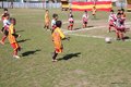 IMG_3141