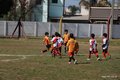 IMG_3156