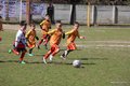 IMG_3133