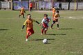 IMG_3139