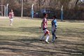 IMG_3781