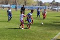 IMG_3647