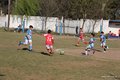 IMG_4516