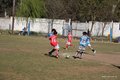 IMG_4518