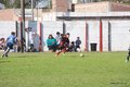 IMG_4426