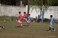 IMG_4529