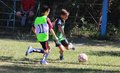IMG_9678